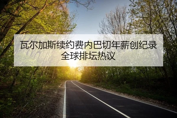 瓦尔加斯续约费内巴切年薪创纪录 全球排坛热议